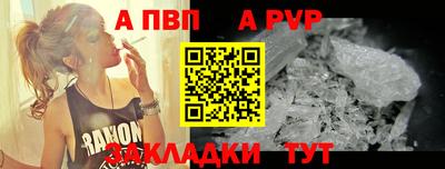 стаф Берёзовский