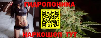 индика Бийск