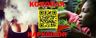 индика Бийск