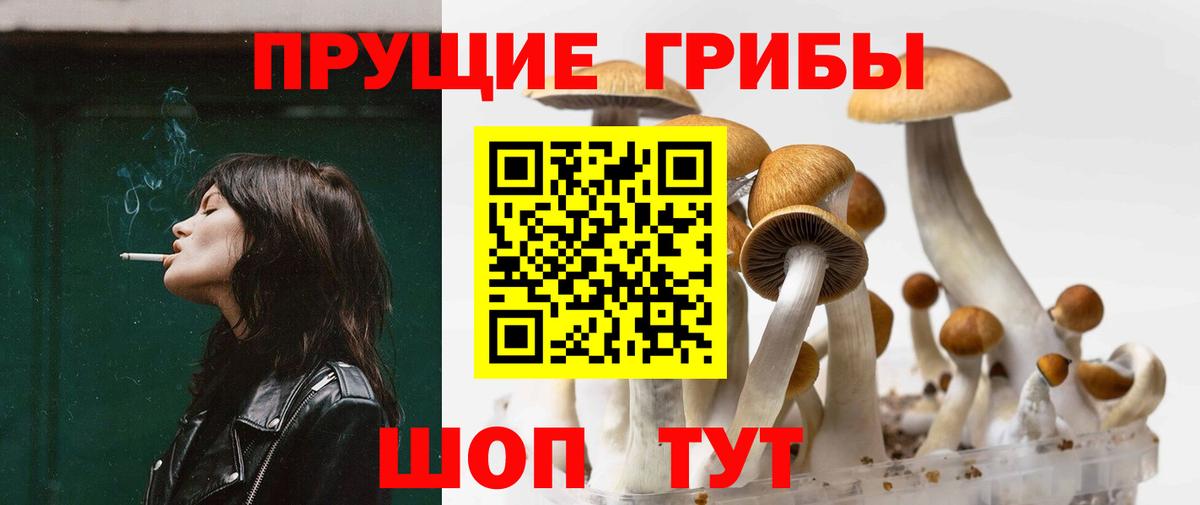 Галлюциногенные грибы прущие грибы  Вход с VPN  Карачаевск 