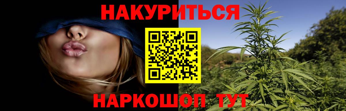 Карачаевск  Конопля план  Канабис White Widow  Вход с VPN 